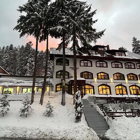 Cerbul Chalet Accommodation & Wellness Risnov Exterior photo