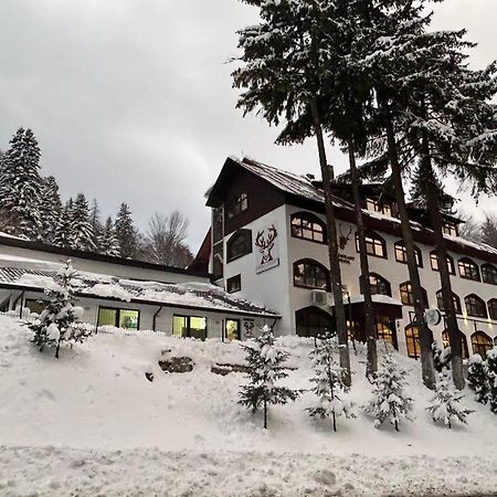 Cerbul Chalet Accommodation & Wellness Risnov Exterior photo