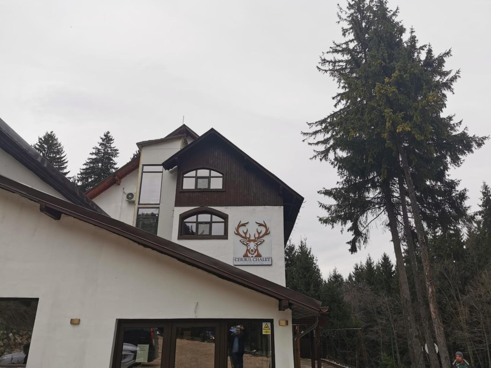 Cerbul Chalet Accommodation & Wellness Risnov Exterior photo