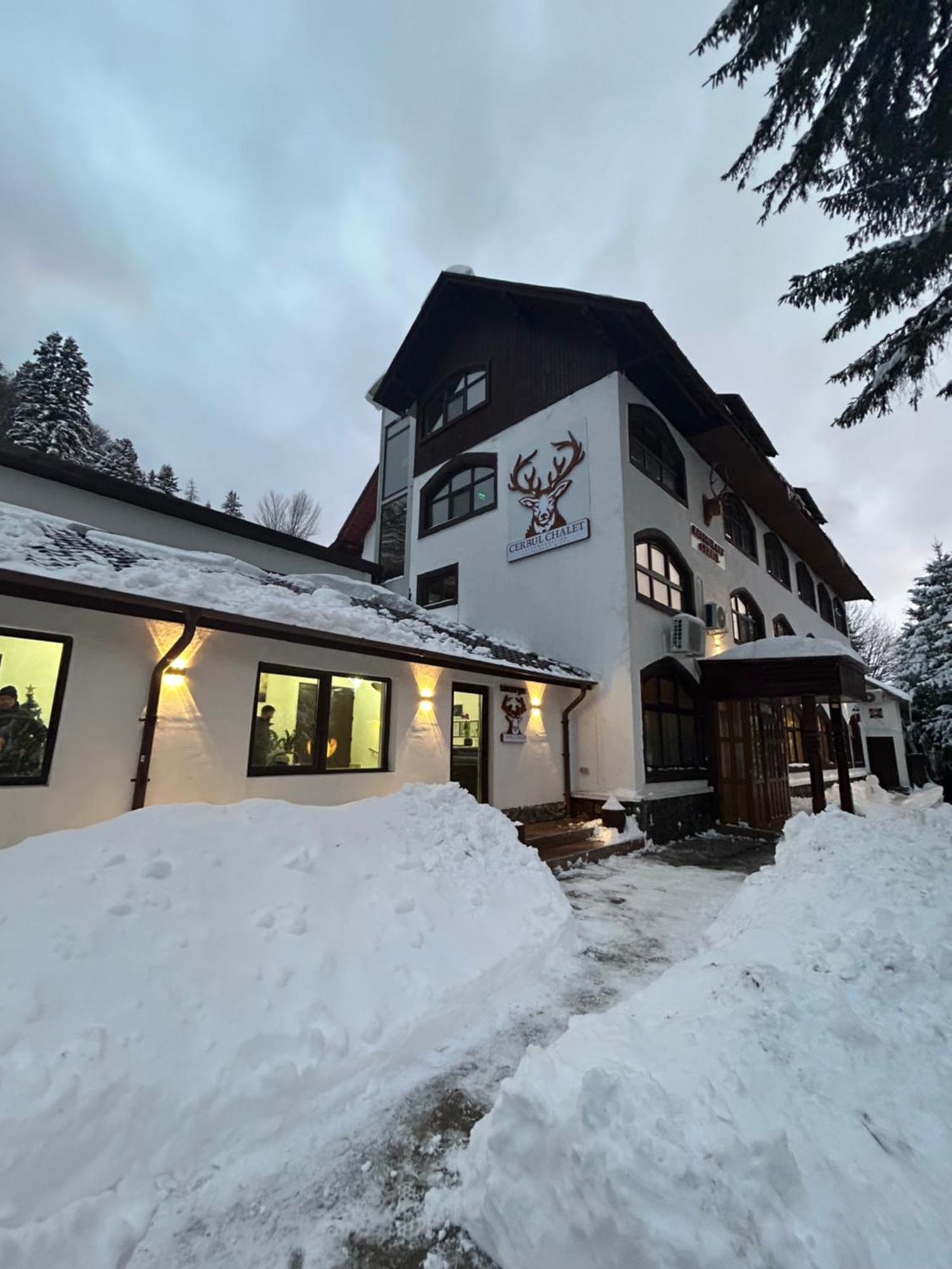 Cerbul Chalet Accommodation & Wellness Risnov Exterior photo
