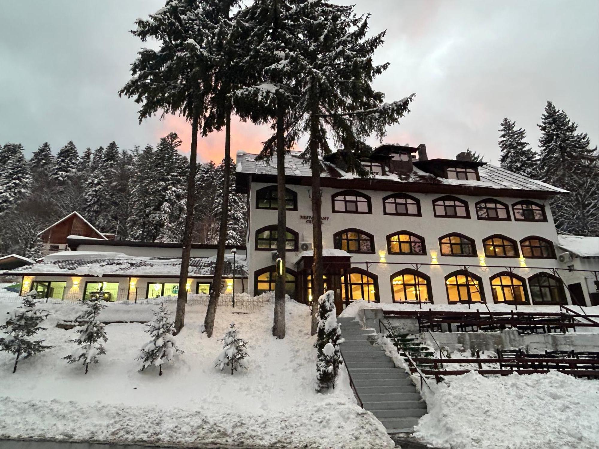 Cerbul Chalet Accommodation & Wellness Risnov Exterior photo