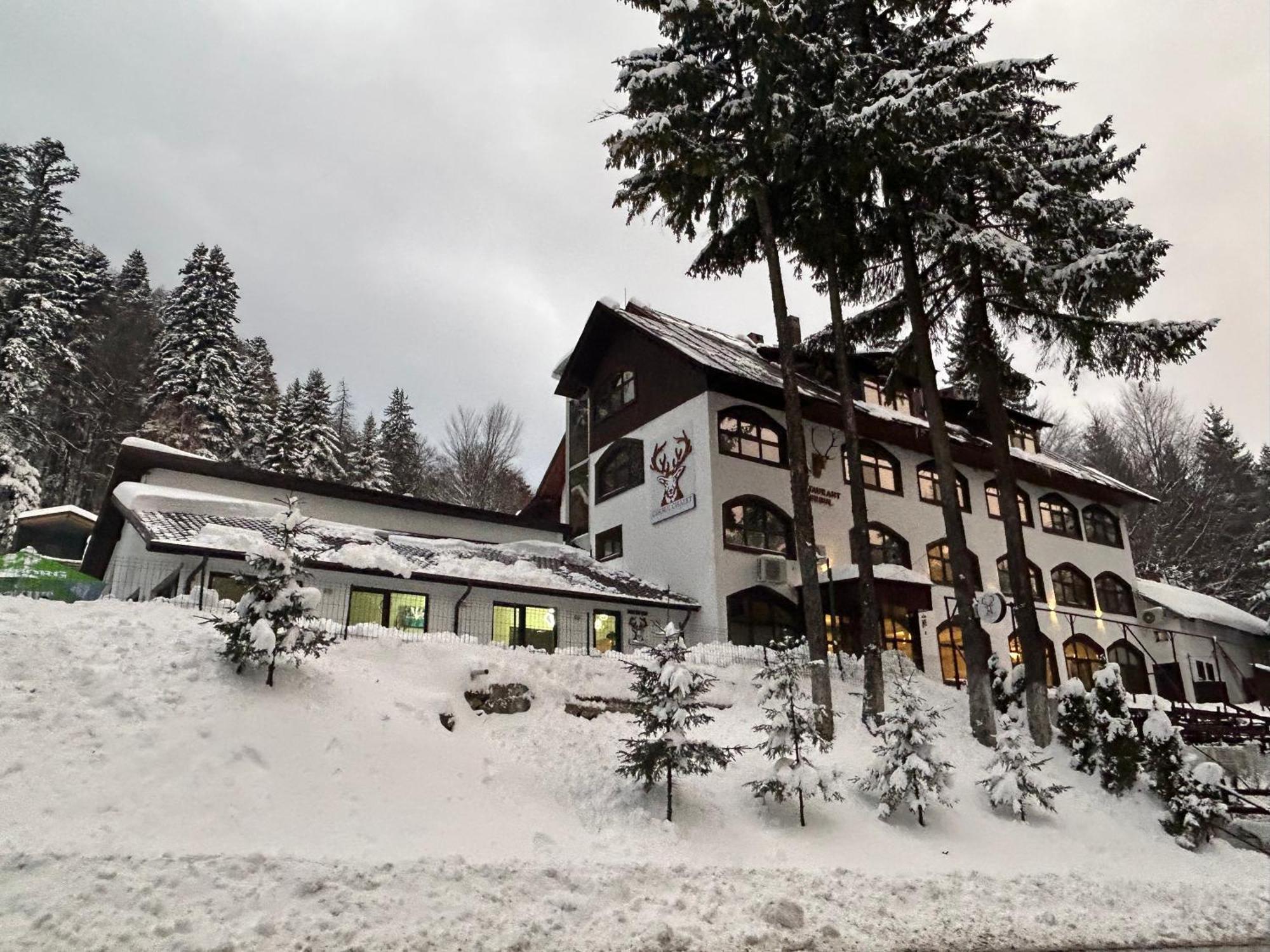Cerbul Chalet Accommodation & Wellness Risnov Exterior photo